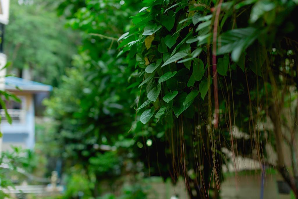 Rk Guesthouse Patong Zewnętrze zdjęcie