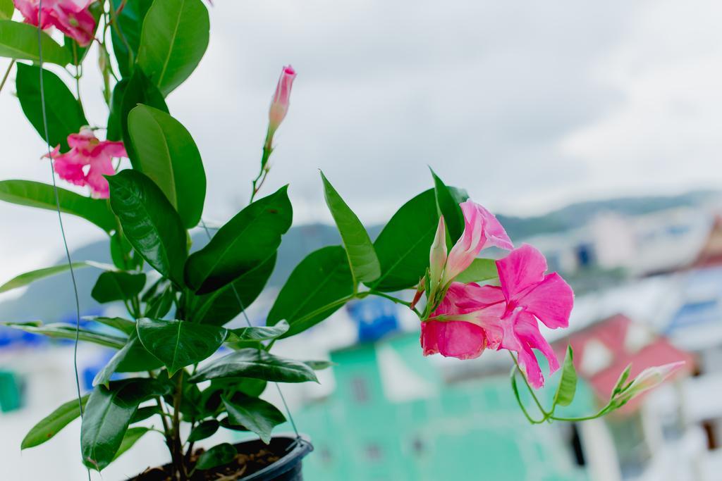 Rk Guesthouse Patong Zewnętrze zdjęcie